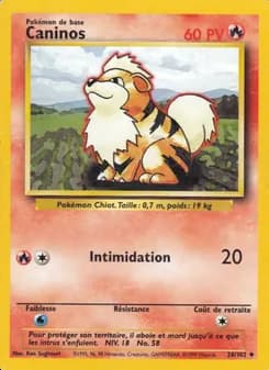 Carte Pokémon