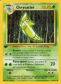Carte Pokémon