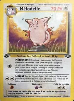 Mélodelfe 17 — Jungle