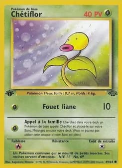 Carte Pokémon