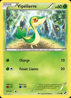 Carte Pokémon