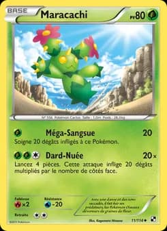Carte Pokémon
