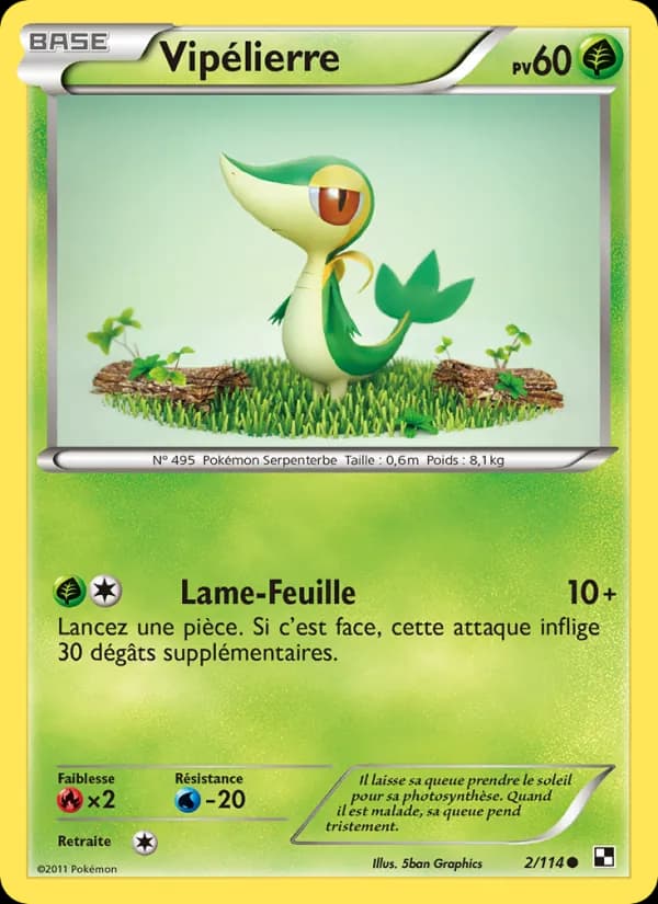 Vipélierre