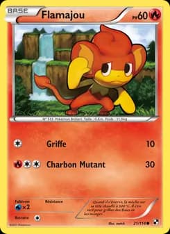Carte Pokémon
