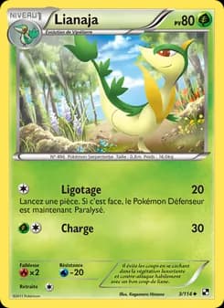 Carte Pokémon
