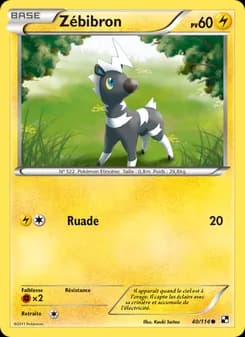 Carte Pokémon