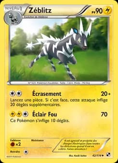 Carte Pokémon