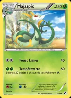 Carte Pokémon