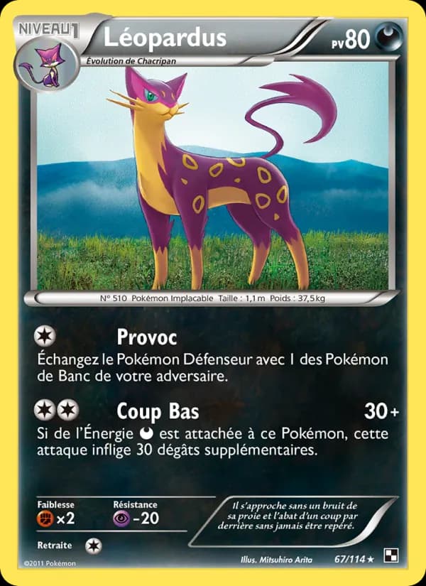 Léopardus