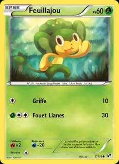 Carte Pokémon