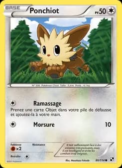 Carte Pokémon