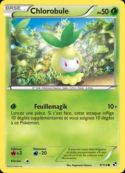 Carte Pokémon