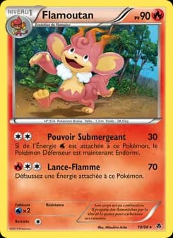 Carte Pokémon