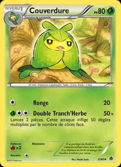 Carte Pokémon