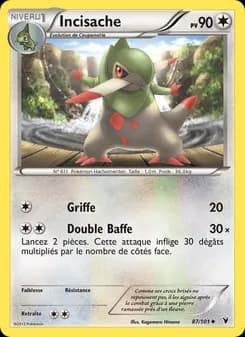 Carte Pokémon