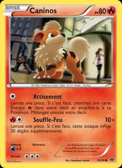 Carte Pokémon