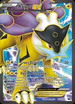 Raikou-EX 105 — Explorateurs Obscurs