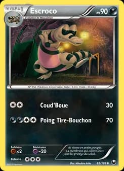 Carte Pokémon