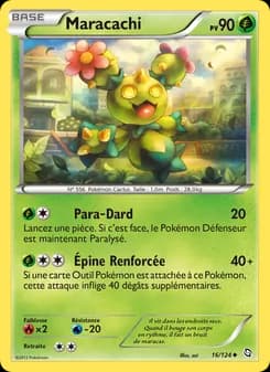 Carte Pokémon