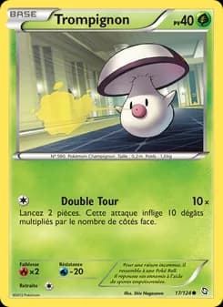 Carte Pokémon