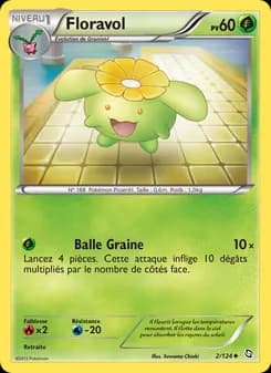 Carte Pokémon