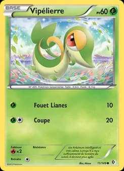 Carte Pokémon