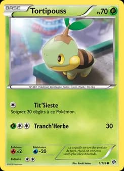 Carte Pokémon