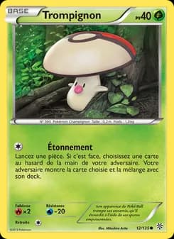 Carte Pokémon
