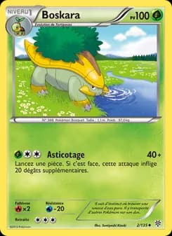 Carte Pokémon