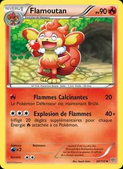 Carte Pokémon