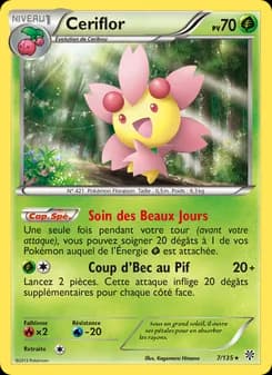 Carte Pokémon