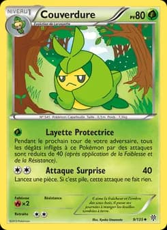 Carte Pokémon