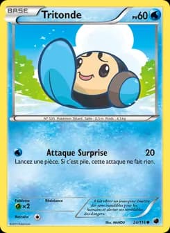 Carte Pokémon