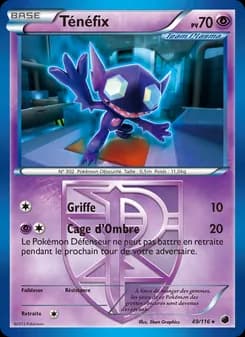 Carte Pokémon