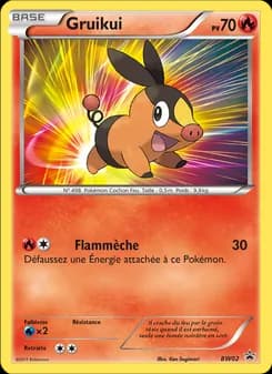 Carte Pokémon