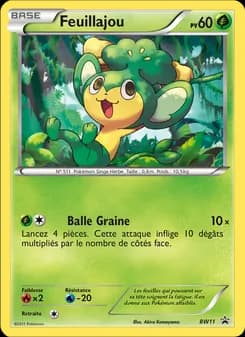 Carte Pokémon