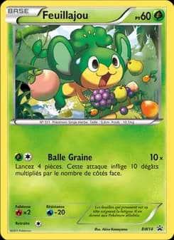 Carte Pokémon