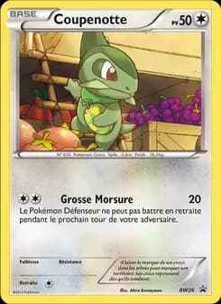 Carte Pokémon