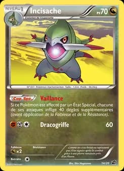 Carte Pokémon