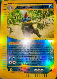 Aligatueur 12 — Expedition