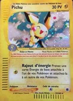 Pichu 22 — Expedition
