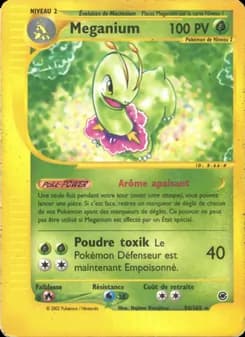 Meganium 54 — Expedition