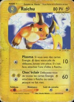 Raichu 61 — Expedition