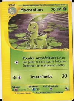 Carte Pokémon