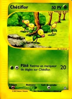 Carte Pokémon