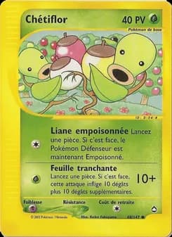 Carte Pokémon