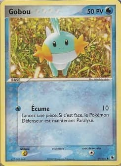 Carte Pokémon