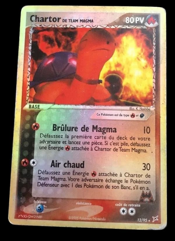 Chartor de Team Magma