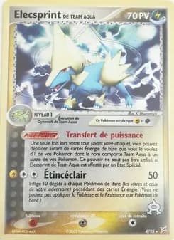 Elecsprint de Team Aqua 4 — EX Team Magma vs Team Aqua