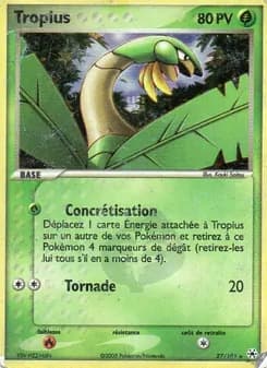 Carte Pokémon